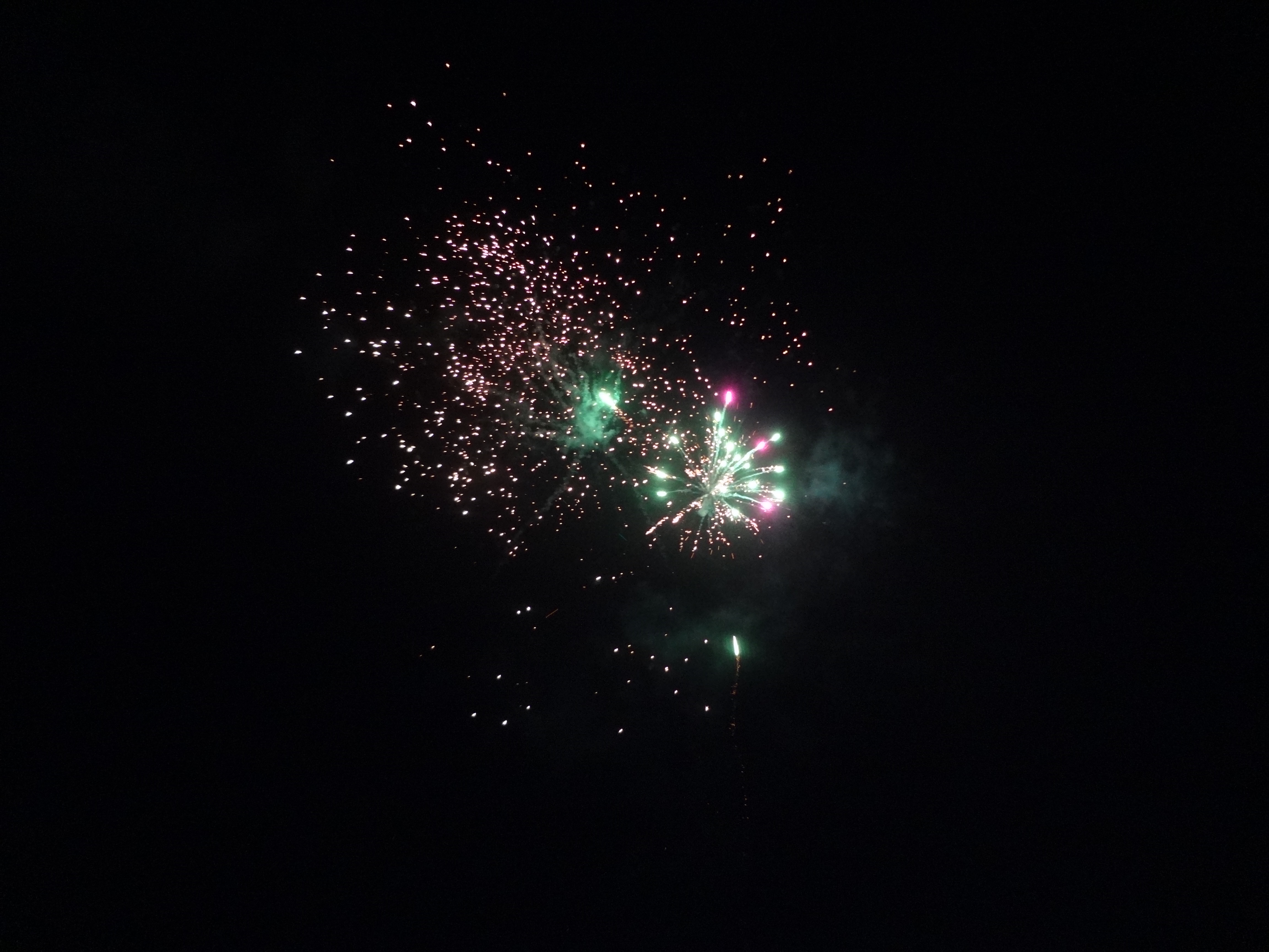 dsc05000.jpg